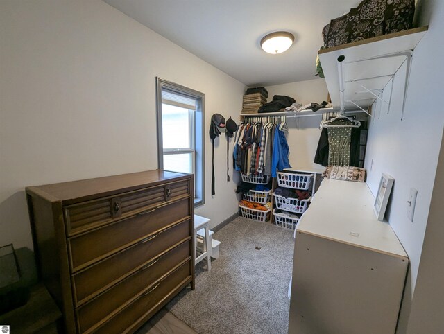 spacious closet with carpet floors