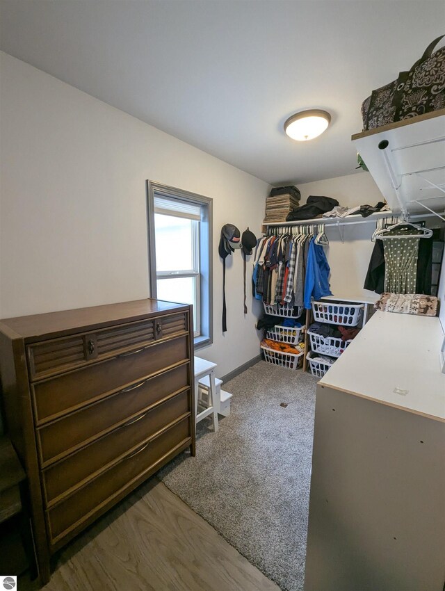 walk in closet with carpet floors