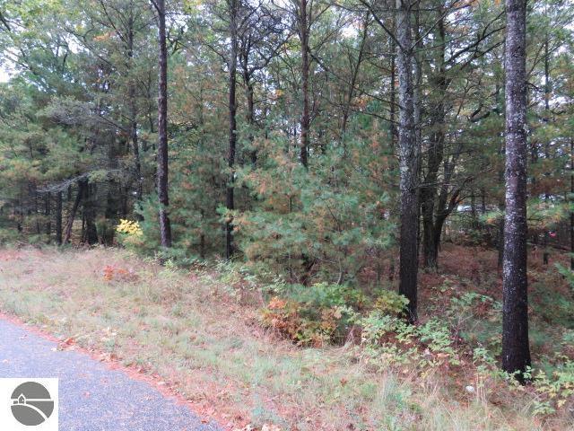 0 Jones St, East Tawas, MI 48730
