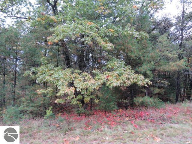 0 Jones St, East Tawas, MI 48730