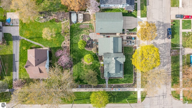 bird's eye view