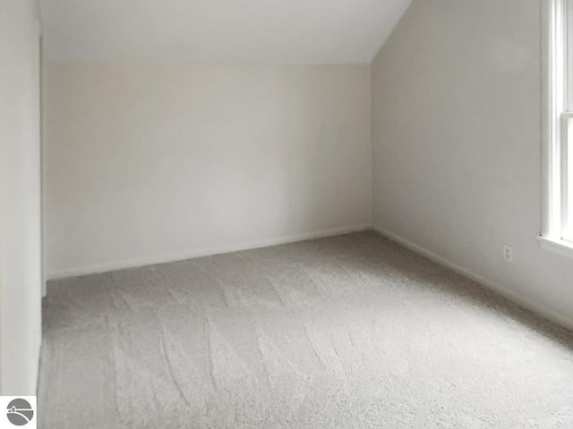 additional living space featuring baseboards and carpet