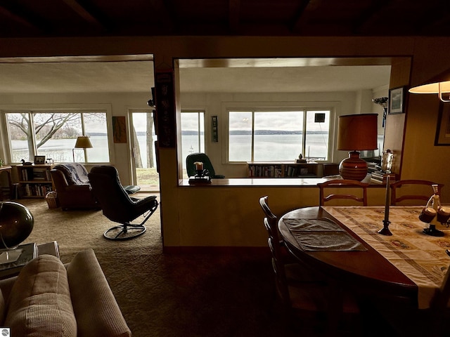 interior space featuring plenty of natural light and carpet