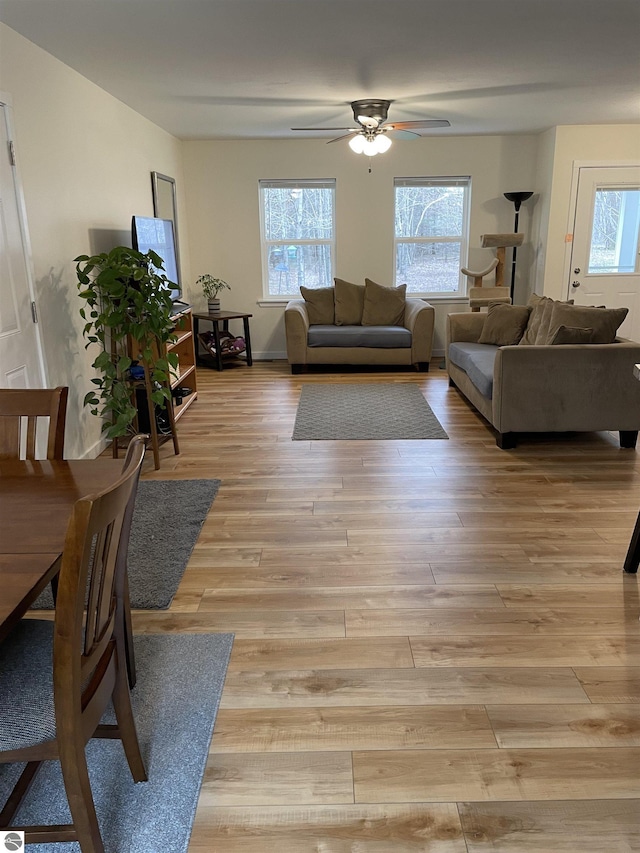 living room with plenty of natural light, a ceiling fan, and light wood finished floors