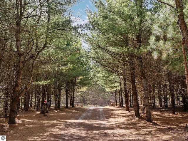 view of road with a view of trees