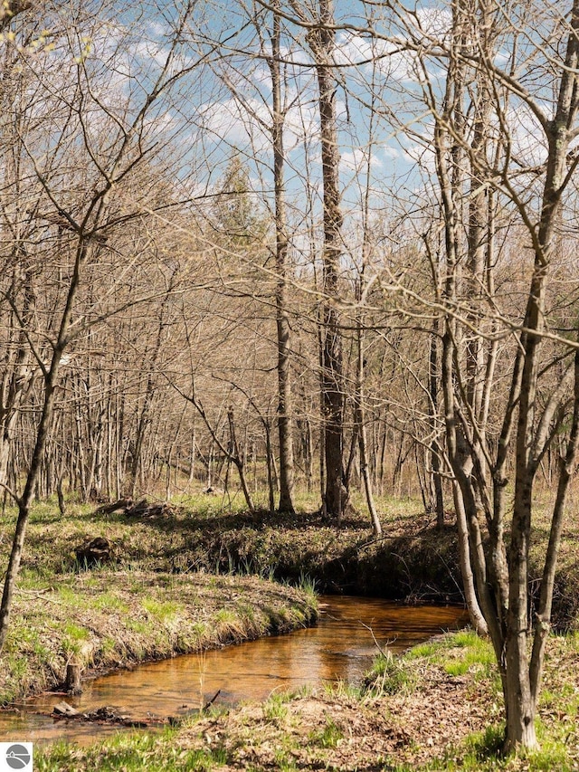 view of local wilderness