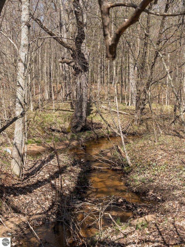 view of local wilderness