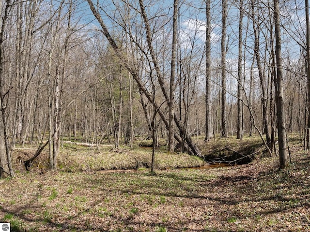 view of nature featuring a forest view