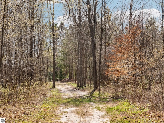 view of local wilderness featuring a view of trees