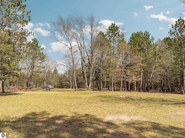 view of yard featuring a forest view