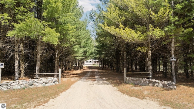 view of street featuring driveway