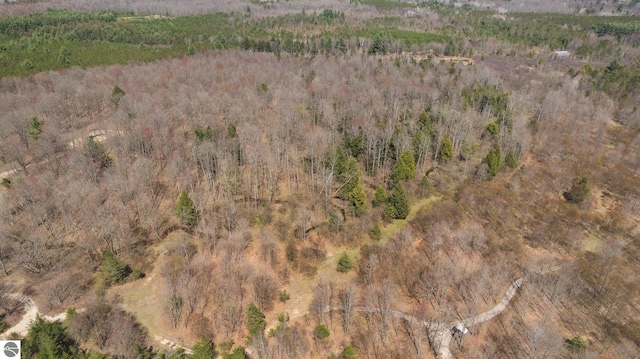 bird's eye view with a forest view
