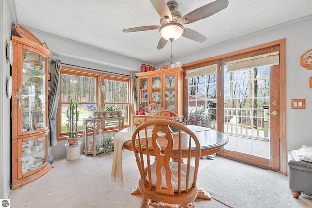 sunroom / solarium with a healthy amount of sunlight