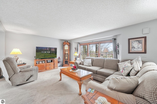 carpeted living room featuring a textured ceiling