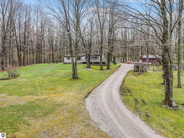 view of road with a view of trees and gravel driveway