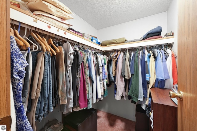 view of walk in closet