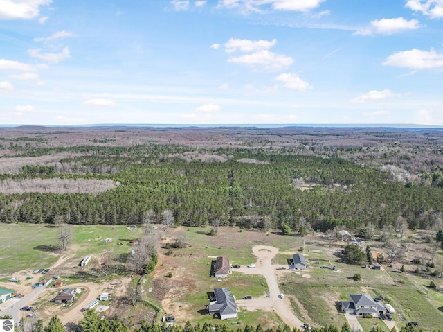 7276 Tiger Dr Unit A, And B, Lake Ann, MI 49650 - drone / aerial view featuring a forest view