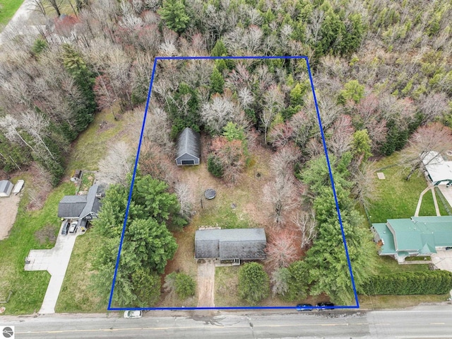 1981 S Lake Mitchell Dr, Cadillac, MI 49601 - aerial view