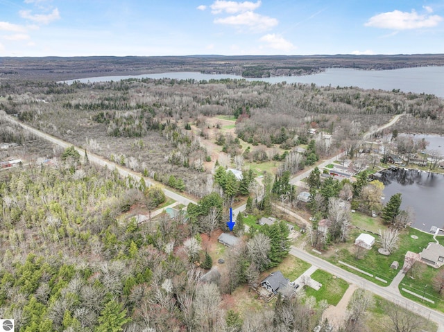 1981 S Lake Mitchell Dr, Cadillac, MI 49601 - birds eye view of property with a water view