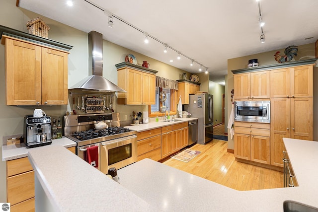 kitchen with wall chimney range hood, stainless steel appliances, rail lighting, and a sink