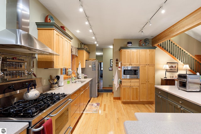 kitchen with wall chimney exhaust hood, rail lighting, a sink, light wood finished floors, and stainless steel appliances