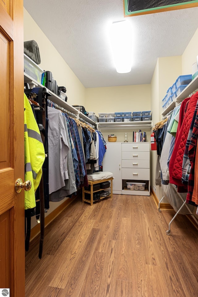 spacious closet featuring wood finished floors