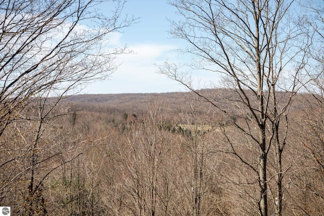 mountain view featuring a forest view