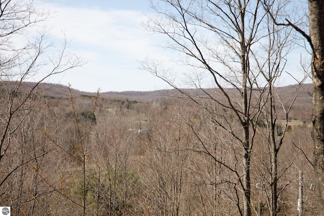 property view of mountains with a view of trees