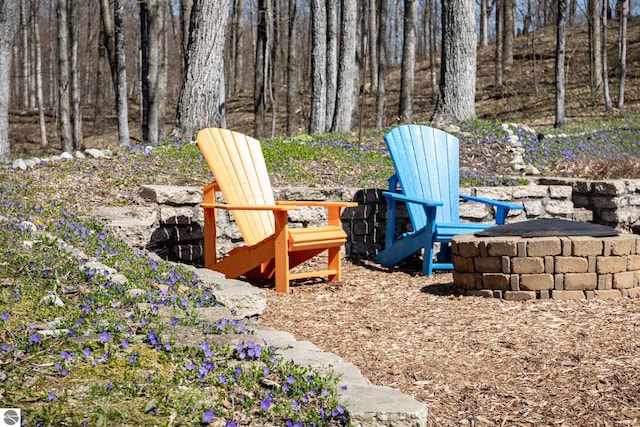 view of yard featuring an outdoor fire pit