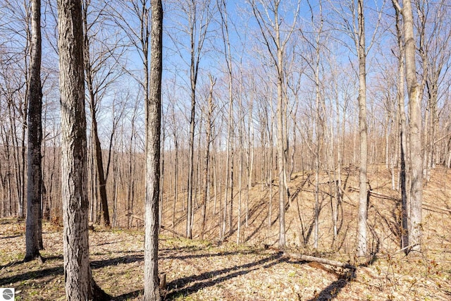 view of landscape featuring a forest view