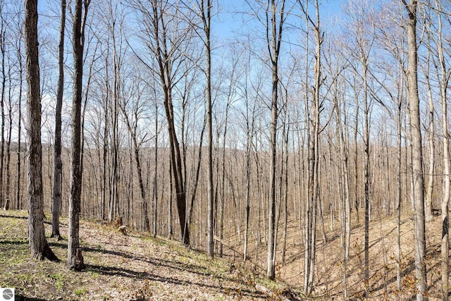 view of landscape with a forest view