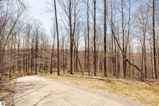 view of road with a view of trees