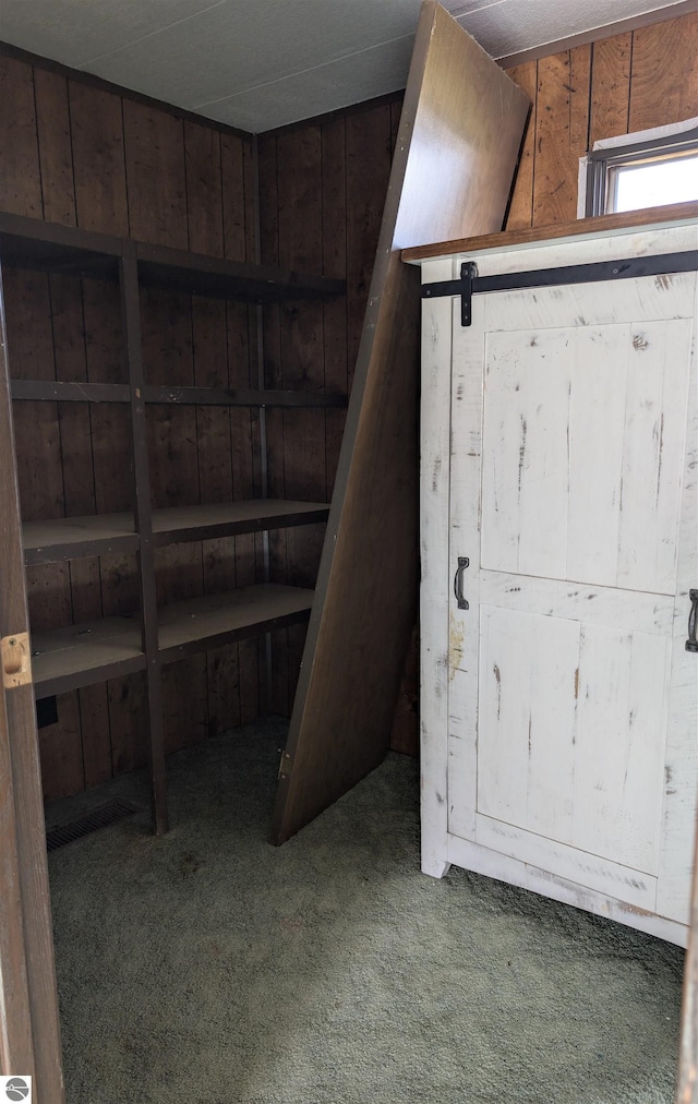 interior space featuring wood walls and carpet
