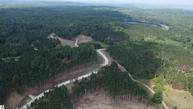 UNIT5 NW Dockery Rd NW, Williamsburg, MI 49690