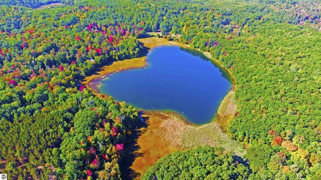 UNIT5 NW Dockery Rd NW, Williamsburg, MI 49690