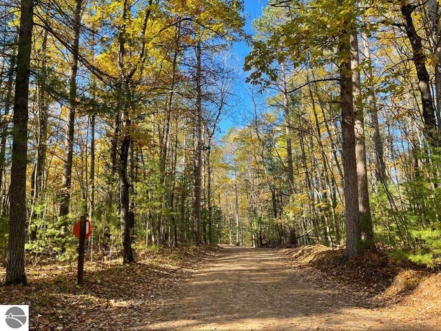 UNIT5 NW Dockery Rd NW, Williamsburg, MI 49690