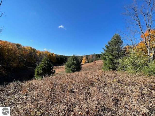 UNIT5 NW Dockery Rd NW, Williamsburg, MI 49690