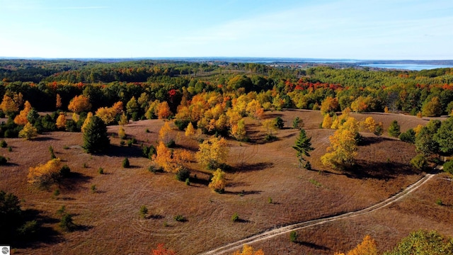 UNIT5 NW Dockery Rd NW, Williamsburg, MI 49690