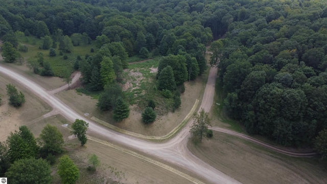 UNIT5 NW Dockery Rd NW, Williamsburg, MI 49690