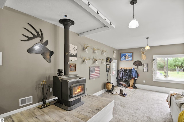 living room featuring a wood stove, baseboards, and visible vents