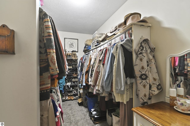 spacious closet with carpet