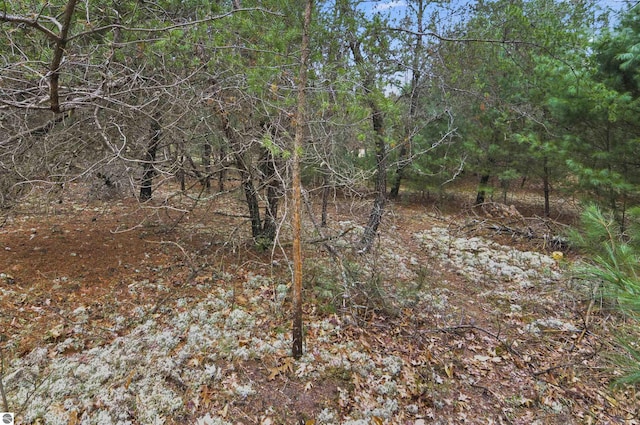 view of nature