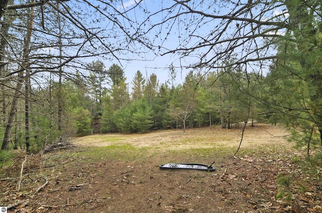 view of yard featuring a view of trees