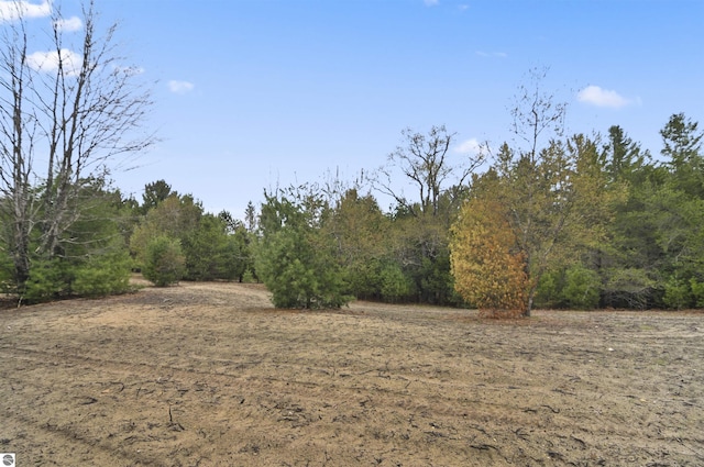 view of local wilderness featuring a forest view