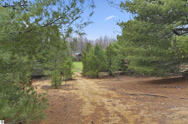 view of nature