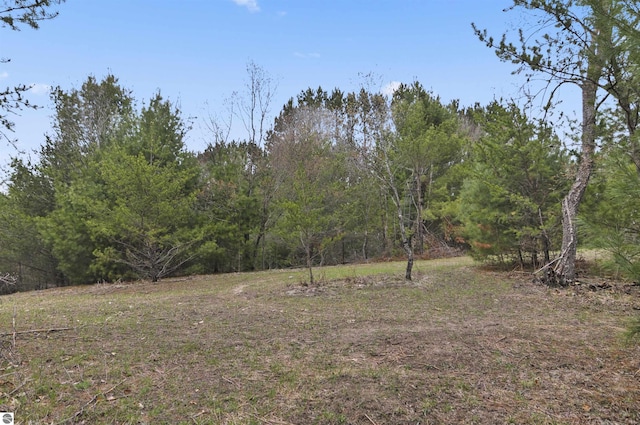 view of yard with a wooded view