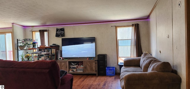living room with ornamental molding, plenty of natural light, a textured ceiling, and wood finished floors