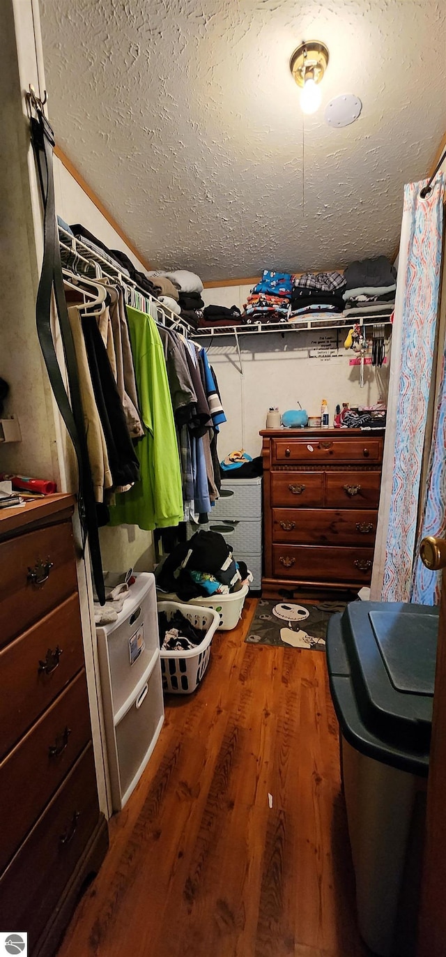 walk in closet featuring wood finished floors