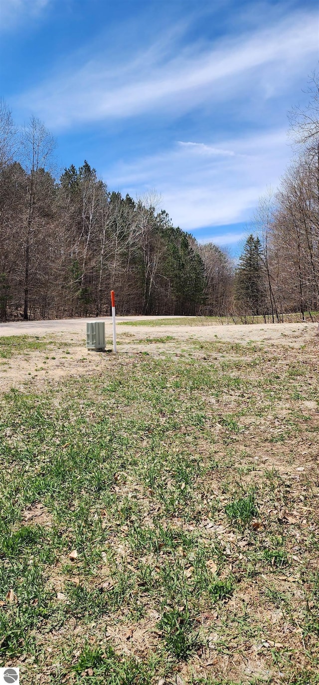 view of yard with a view of trees