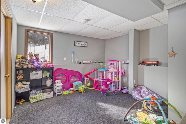 7809 Potter Rd, Bear Lake, MI 49614 - game room with a drop ceiling and carpet floors